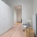 Spacious Lana, Clean Comfy Apartment