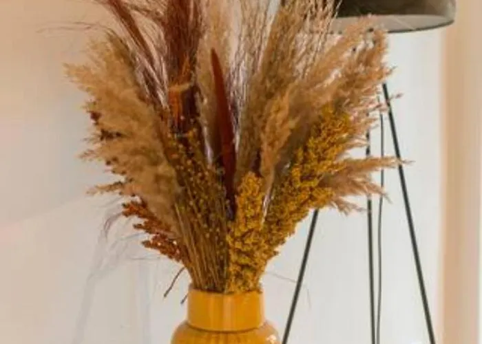 Spacious Lana, Clean Comfy